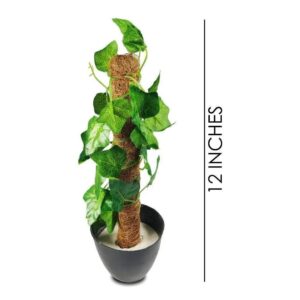 Artificial Climbing Vine Plant in Black Pot – 12 Inches Decorative Greenery