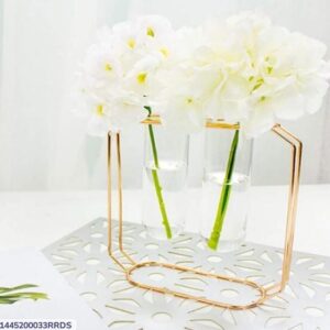 Golden metal hydroponic test tube vase with frame – modern home decor piece