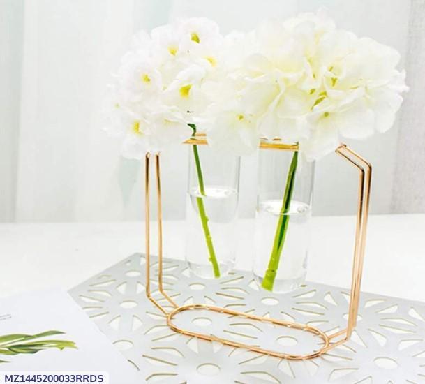 Golden metal hydroponic test tube vase with frame – modern home decor piece